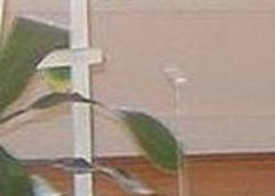 Pre-foreclosure in  BARKER RD Simpsonville, SC 29680