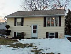 Pre-foreclosure Listing in TRAP BROOK DR MACEDON, NY 14502