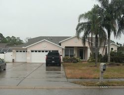 Pre-foreclosure Listing in OREGOLD DR NEW PORT RICHEY, FL 34654