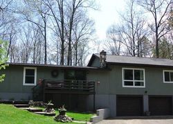 Pre-foreclosure Listing in BASS LAKE RD LAKE TOMAHAWK, WI 54539