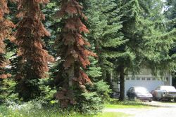  99th Ln Se, Olympia WA