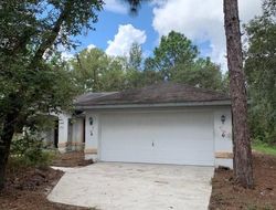 Pre-foreclosure in  W NEWCASTLE CT Dunnellon, FL 34433