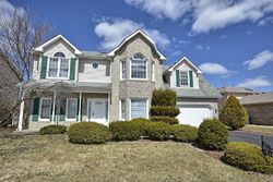Pre-foreclosure in  MALLARD DR Matteson, IL 60443