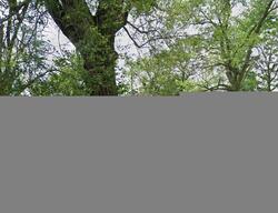 Pre-foreclosure in  TANEY ST Gary, IN 46404