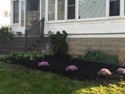 Pre-foreclosure in  W 116TH ST Cleveland, OH 44111