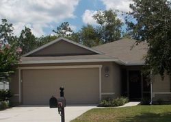Pre-foreclosure in  CREEK BLUFF LN Middleburg, FL 32068