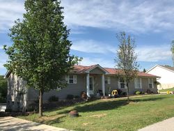 Pre-foreclosure in  VALLEY VIEW DR House Springs, MO 63051