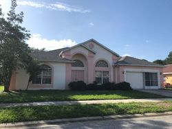 Pre-foreclosure in  DEER LODGE RD New Port Richey, FL 34655