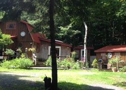Pre-foreclosure Listing in TERRACE DR PRATTSVILLE, NY 12468