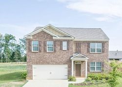 Pre-foreclosure Listing in PLUMB BRANCH CT MCDONOUGH, GA 30253