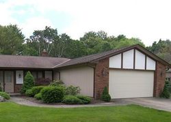 Pre-foreclosure Listing in PARK SIDE TRL SOLON, OH 44139