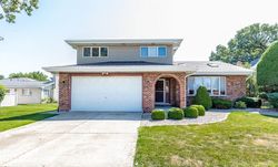 Pre-foreclosure in  BLACKSTONE AVE Justice, IL 60458