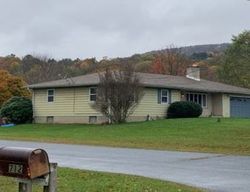 Pre-foreclosure Listing in LOYALVILLE OUTLET RD HARVEYS LAKE, PA 18618