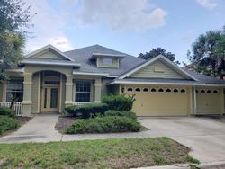 Pre-foreclosure in  SANDPIPER CT Palm Coast, FL 32137