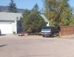 Pre-foreclosure Listing in BUTTONWOOD CT MONUMENT, CO 80132