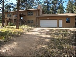 Pre-foreclosure in  FITZSIMMONS RD Bailey, CO 80421