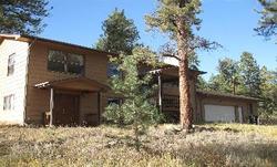 Pre-foreclosure in  FITZSIMMONS RD Bailey, CO 80421