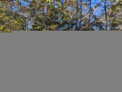 Pre-foreclosure in  MAIN RD Johns Island, SC 29455