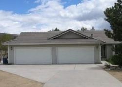 Pre-foreclosure in  GONI RD Carson City, NV 89706