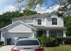 Pre-foreclosure Listing in DEEP WELL CT VALRICO, FL 33594