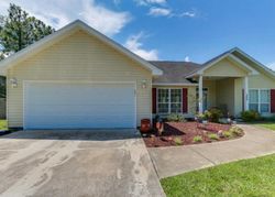 Pre-foreclosure in  SKUNK VALLEY RD Panama City, FL 32409