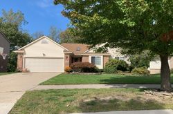 Pre-foreclosure Listing in APPLE GROVE WAY FLAT ROCK, MI 48134