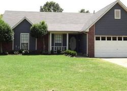 Pre-foreclosure in  SUNBURY CIR Memphis, TN 38133