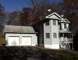 Pre-foreclosure in  TRAFALGAR AVE East Stroudsburg, PA 18302
