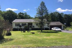 Pre-foreclosure Listing in S ROCKY MOUNTAIN DR EFFORT, PA 18330