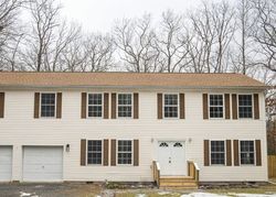 Pre-foreclosure Listing in SILVER LAKE RD DINGMANS FERRY, PA 18328