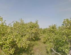  Sw 209th Ave, Homestead FL