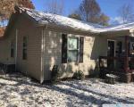 Pre-foreclosure Listing in BROOKLANE ST METROPOLIS, IL 62960