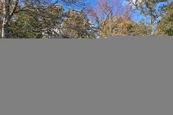  Baggett Hills Rd, Adamsville AL