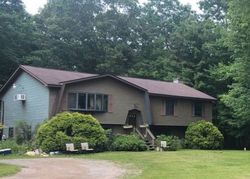 Pre-foreclosure in  GOLDEN RD Effort, PA 18330