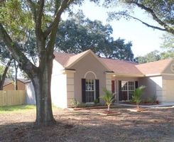  Pleasant Pine Ct, Valrico FL