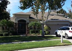 Pre-foreclosure in  CORMORANT COVE DR Land O Lakes, FL 34637