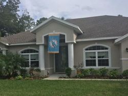 Pre-foreclosure in  BURNING BUSH DR Palm Coast, FL 32137
