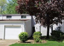 Pre-foreclosure Listing in DEEPWOOD DR WADSWORTH, OH 44281