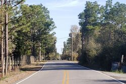 Pre-foreclosure in  MICHIGAN LN Defuniak Springs, FL 32433