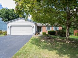  Camrose Ct, Columbus OH
