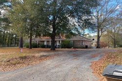 Pre-foreclosure Listing in DEER RANGE RD S WILMER, AL 36587