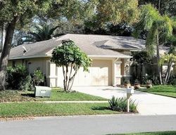  Deer Hound Way, Palm Harbor FL