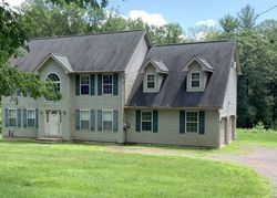 Pre-foreclosure Listing in LONGWOODS DR SAYLORSBURG, PA 18353