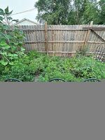 Pre-foreclosure in  FRONT ST Rockford, OH 45882