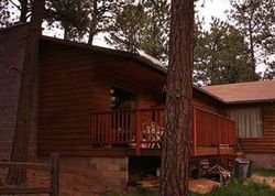 Pre-foreclosure Listing in BLUEBIRD HL WOODLAND PARK, CO 80863