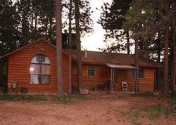 Pre-foreclosure in  BLUEBIRD HL Woodland Park, CO 80863