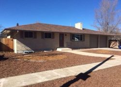 Pre-foreclosure in  RAINIER DR Colorado Springs, CO 80910
