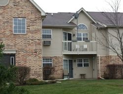  Spring Brook Ct Uni, Round Lake IL