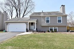 Pre-foreclosure in  INDEPENDENCE AVE Saint Charles, IL 60174
