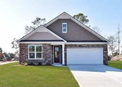 Pre-foreclosure in  RYE CREEK CIR Okatie, SC 29909